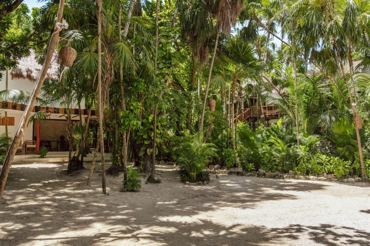 Dos Ceibas Tulum Feel Good Hotel Exterior photo