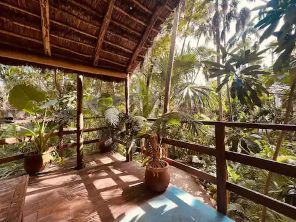 Dos Ceibas Tulum - Massage & Yoga Inclusive Hotel Exterior photo